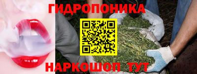 дживик Сосновоборск