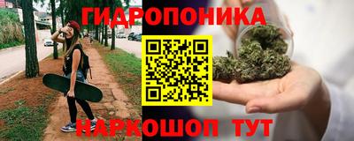 винт Сосновый Бор